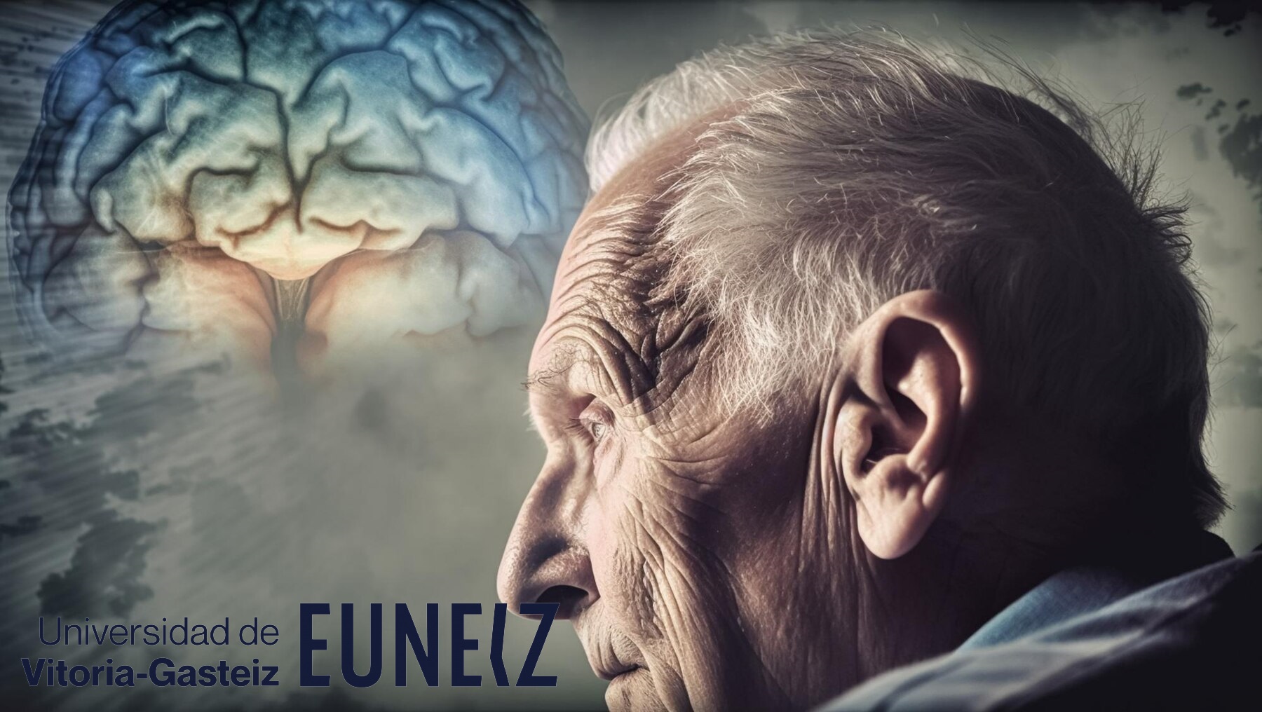 Enfermedades neurodegenerativas y enfermedades en la vejez. 4 créditos expedidos por la universidad de Vitoria-Gasteiz Euneiz.